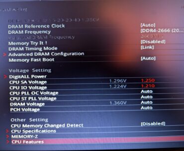Which value is the real value for CPU SA/IO