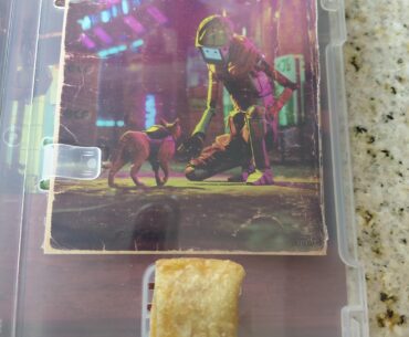 I miss when game cases came with appropriately sized pizza roll holders. I recently bought a copy of Stray and was shocked at how small the pizza roll holder is now. I could only fit half of one in there. Shrinkflation is real and no community is safe 💔