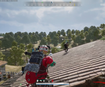 Not sure If I've seen a snipe like this before.