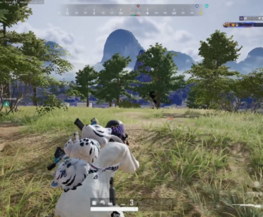 Wiping Squads & Chicken Dinners