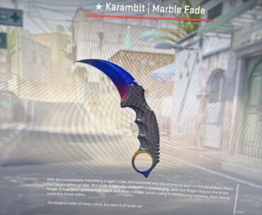 Karambit Fake Fire and Ice (Price Check?)
