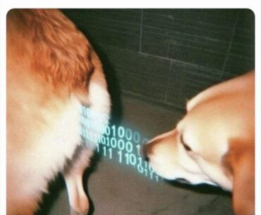 Getting code from oscar in astra malorum