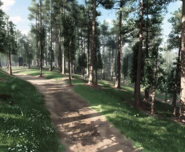 Who'd Like To Establish The Fireteam Group?