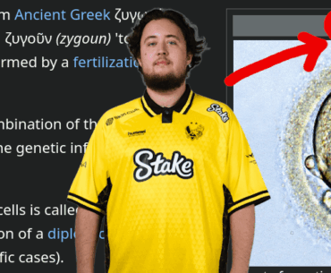zygoat