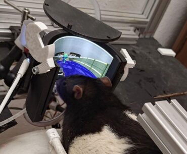 Rats Trained to Play Doom