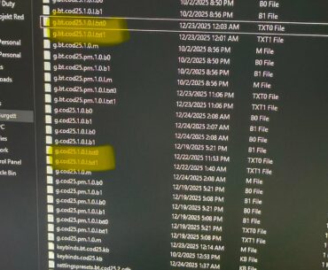 [COD] How to disable On-demand texture streaming to fix stuttering and fps drops