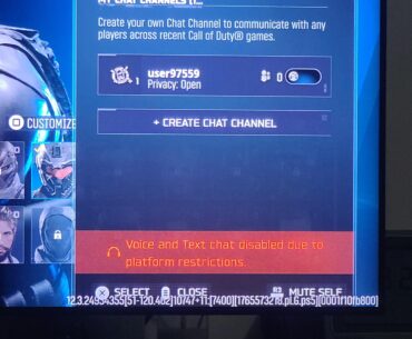 Why is my mic not working