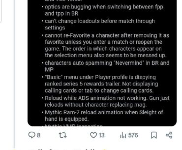 Community Manager reply to bugs