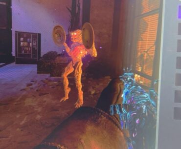 anyone ever encounter a dancing ravenger😭or is it just me