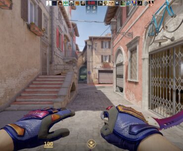 Which gloves?