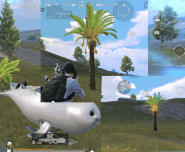 The palm trees are growing, approaching the next update