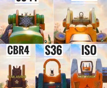 S11 BATTLE PASS IRON SIGHT VIEW.