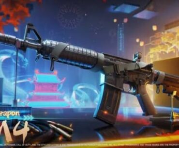 Every single gun that got added in 2025 what you think about them after they got released ?