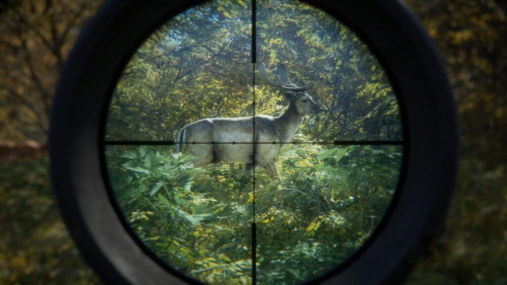 theHunterStock11
