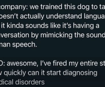 Big Brain CEO and AI: A Love Story