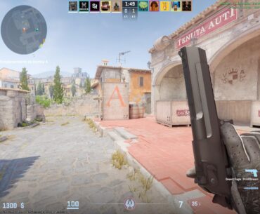 NEW SKIN ? XD CSBUG