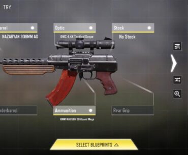 This gun is secretly meta. Use this build and thank me later😉