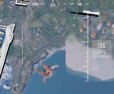 Have you ever had a bug like this?