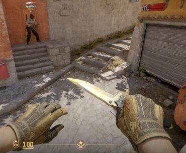 got this combo super hyped , knife is p1 goldgem #39🫣
