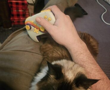 How do your animals game with you?
