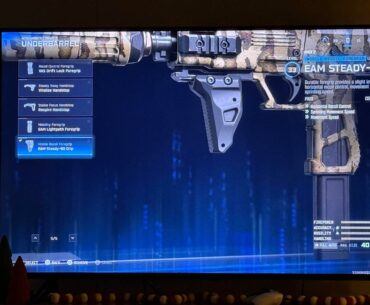 Why does it not let me run this grip? Even when equipped it completely disappears once I’m in a game.