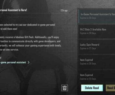 Dedicated in game, personal assistant?