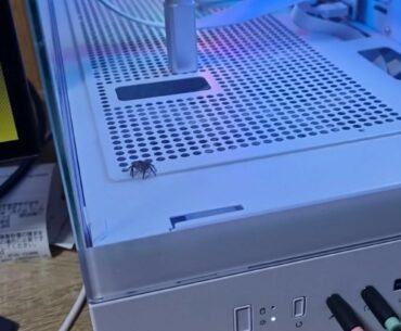 A spider got into my PC...