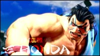 Street Fighter Sports Fighting Pass image #5