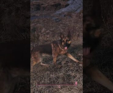DEATHCLAW DESTROYS DOGMEAT IN FALLOUT 4- Twitch- Itszstrike #fallout #fallout4 #fps #games #gaming