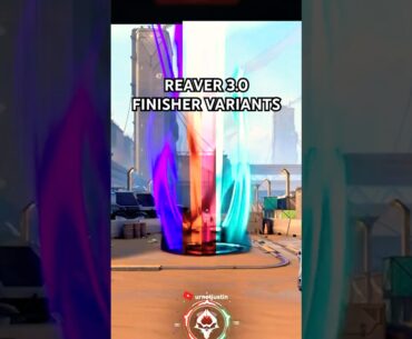 Reaver 3.0 Easter Egg #valorant