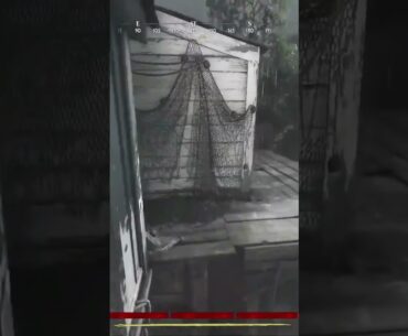 Hunt: Showdown 1896! 9 Kill Game! #huntshowdown1896 #fps #gaming #funny