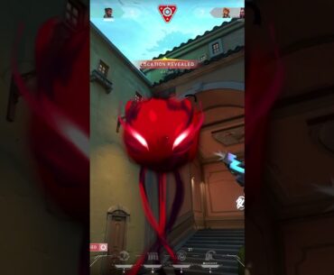 HARBOR #valorant #valorantclutchmoments #valorantclips