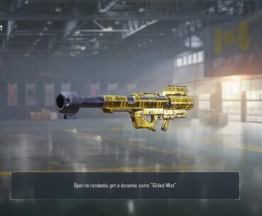 What do you guys think of the new camo?