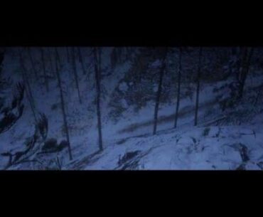 I got off the horse by accident right before a cutscene in red dead