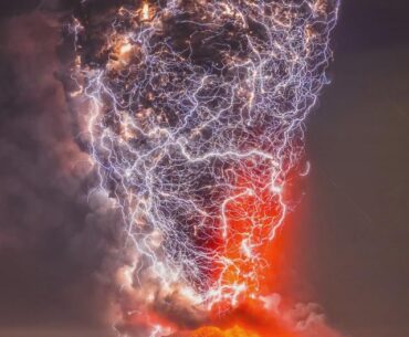 Looks like the astra malorum boss