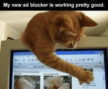 Catblock Activated!