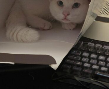 The elusive white GPU …