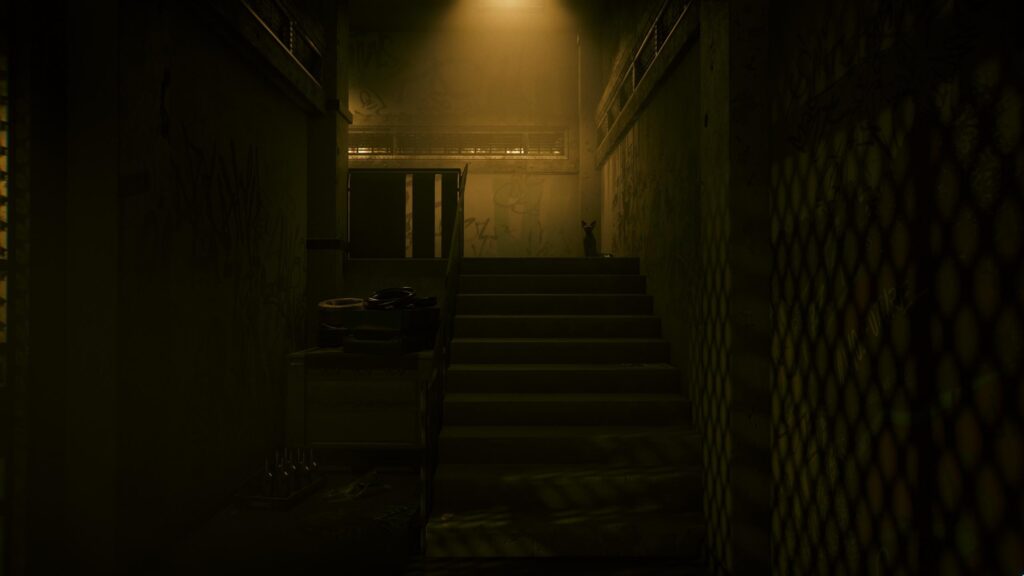 Meow (Cyberpunk 2077)