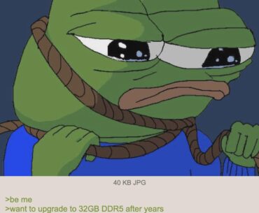 Anon wanted RAM.