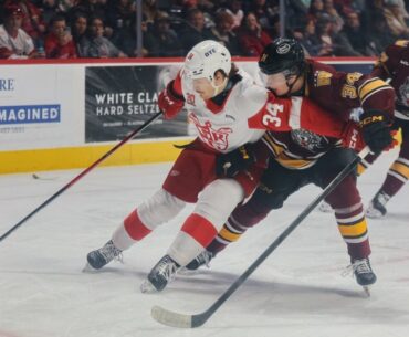 Grand Rapids Griffins | Game Notes: Griffins vs. Wolves