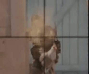STUPID chicken gets me killed
