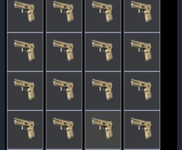 P250 sand dune collection. I think I’m almost at 400 now
