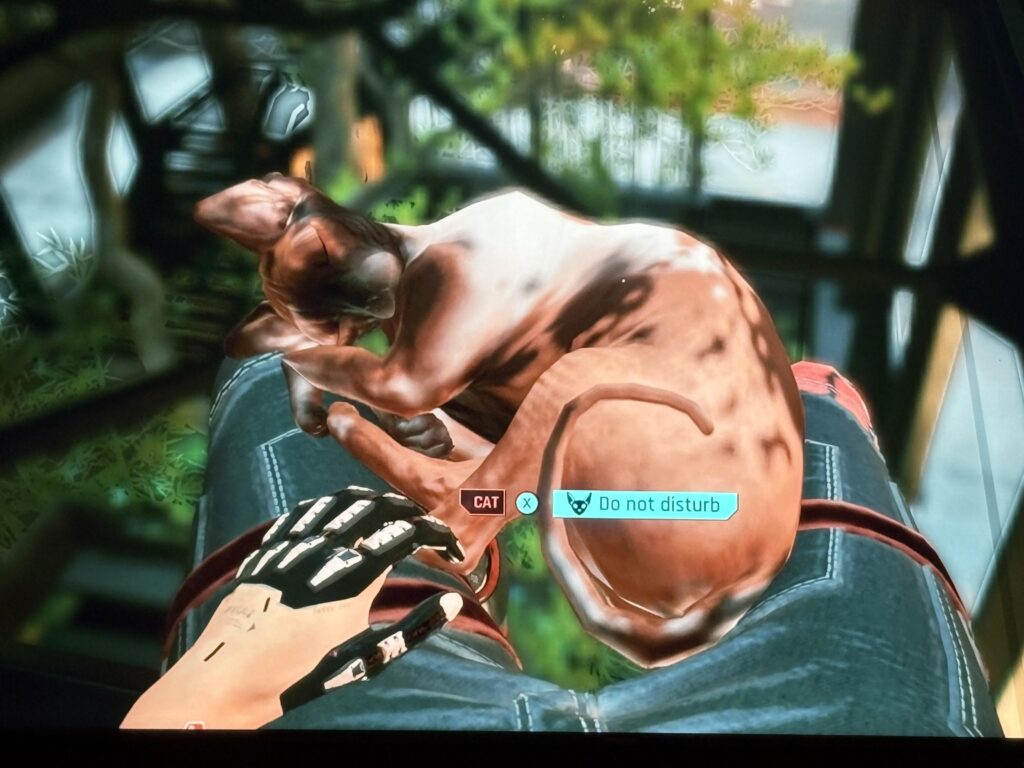 Over 200 hours and just found you can sit with a cat
