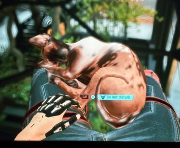 Over 200 hours and just found you can sit with a cat