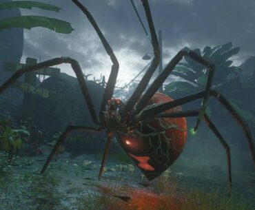 Bo3 spiders in depth.