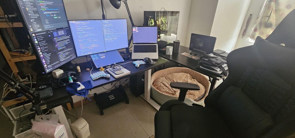 Developer by Day, Gamer by Night
