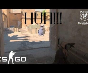 Counter Strike 2 Now It's Personal