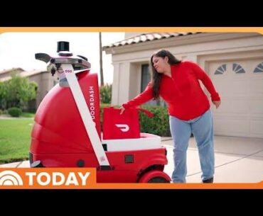 DoorDash Shares a Look at the Future of Food Delivery: Meet Dot!