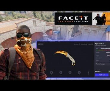 256 Elo Faceit CS2 Faceit - Inferno Map