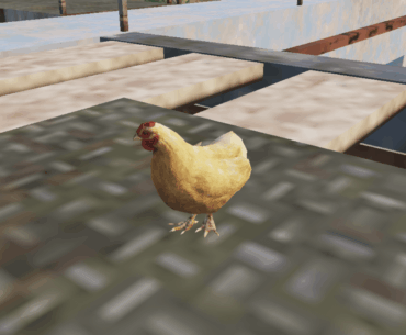 Chicken.